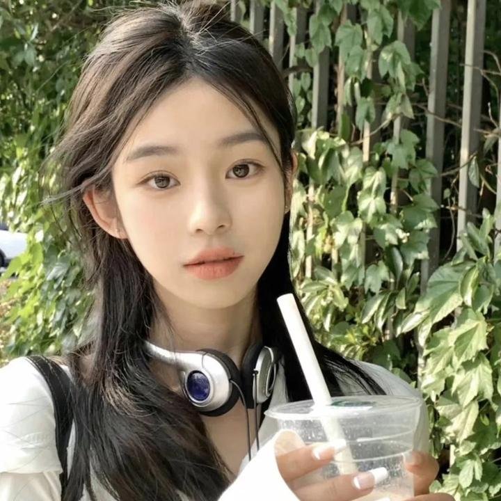 杨六郎智破连环计