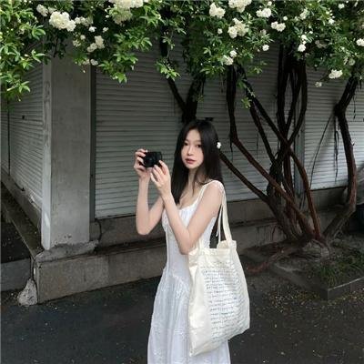 霍莉